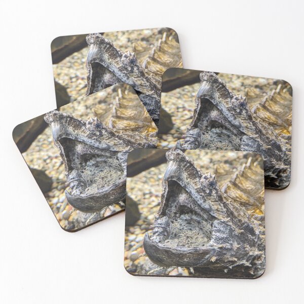 Item preview, Alligator snapping turtle designed and sold by rootedrender.