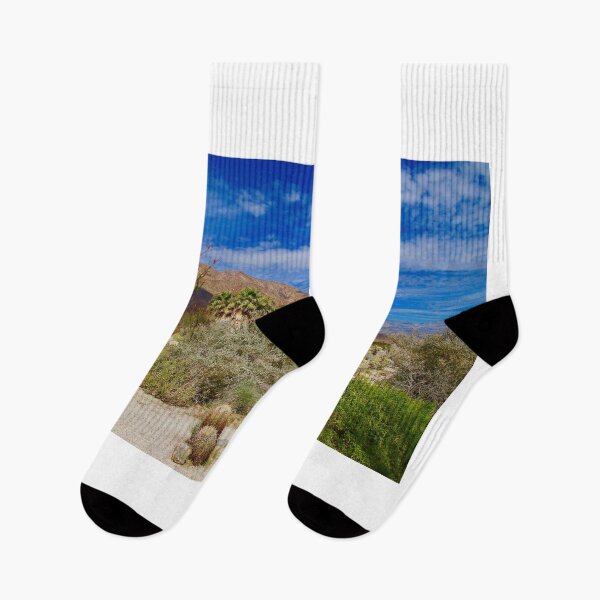 Item preview, Borrego Landscape designed and sold by Barbara  Brown.