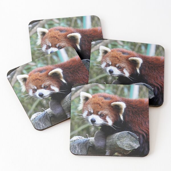 Item preview, Red panda designed and sold by rootedrender.