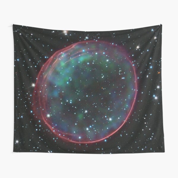Supernova remnants such as this are the source of many cosmic rays. Tapestry