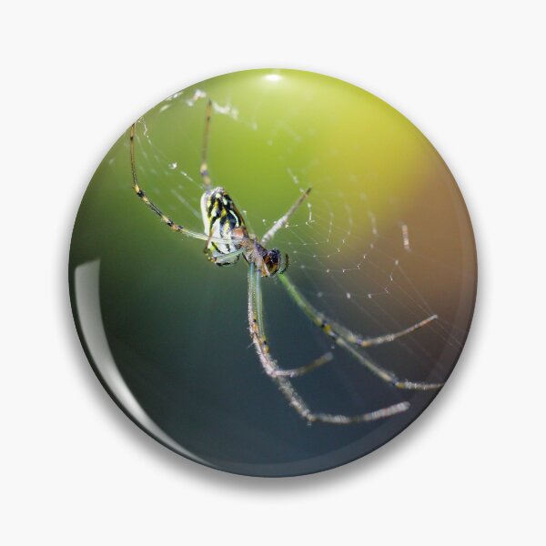 Item preview, Silver Orb Weaver in the Morning Light designed and sold by Siene Browne.