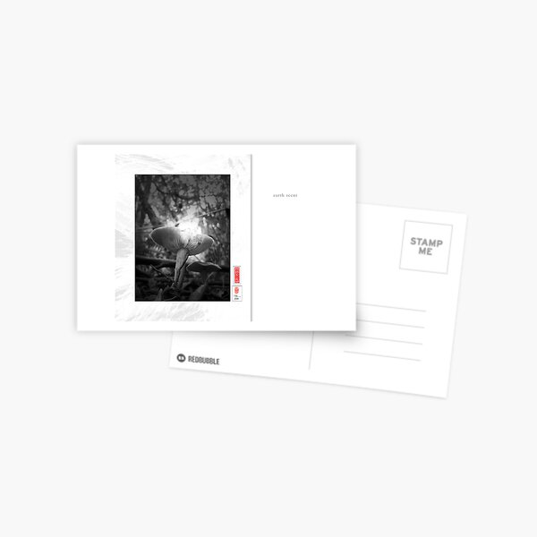 Mindfulness In Monochrome - Earth Scent Postcard