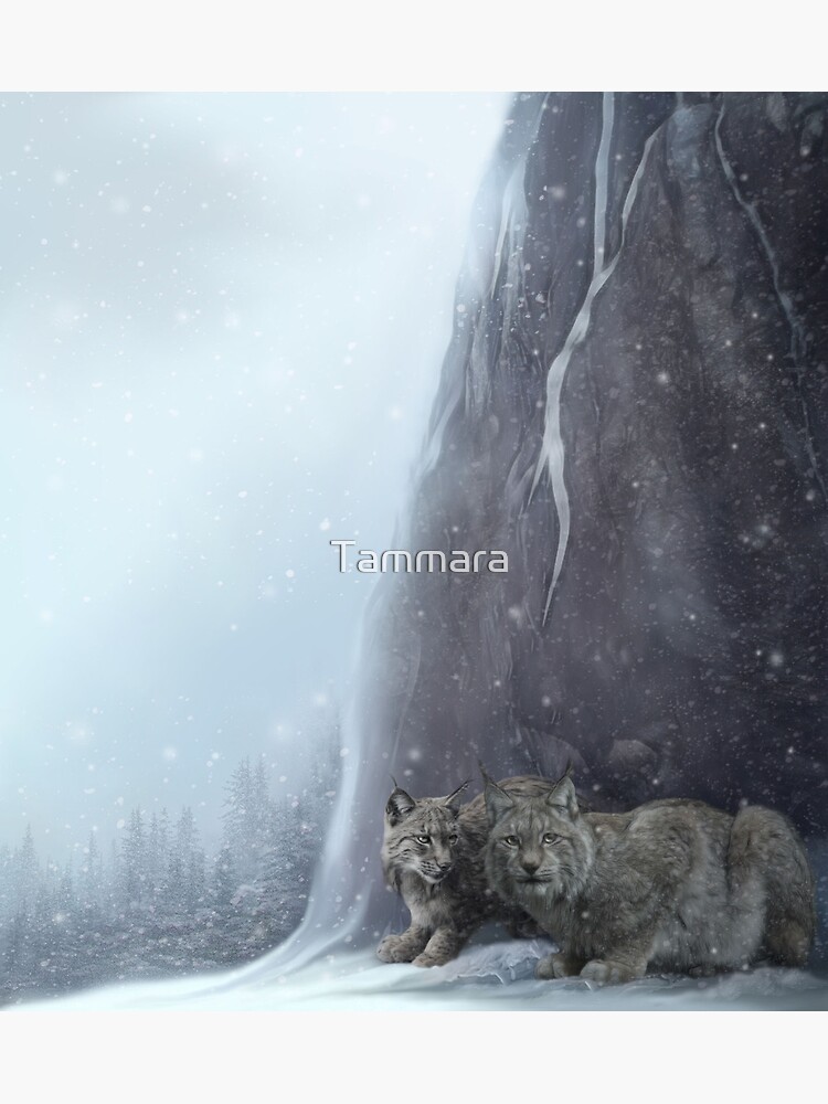 Jeremiah's Light by Tammara