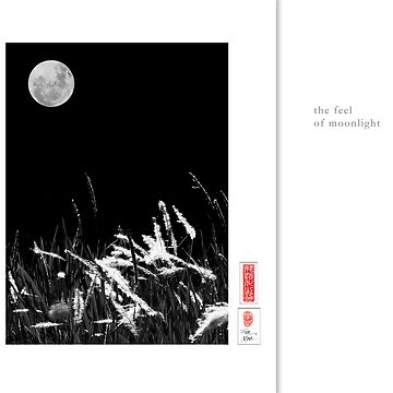 Artwork thumbnail, Mindfulness In Monochrome - Moonlight by ronmoss
