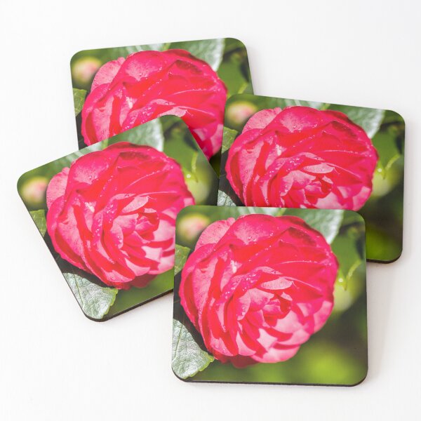 Item preview, Red Camellia Flower Close Up  designed and sold by Cameranick.
