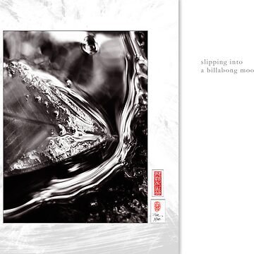 Artwork thumbnail, Mindfulness In Monochrome - Slipping by ronmoss