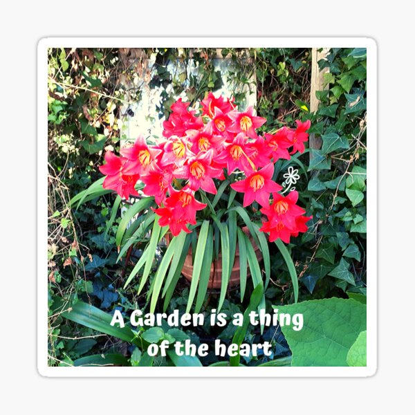 A garden is a thing of the Heart - new Sticker