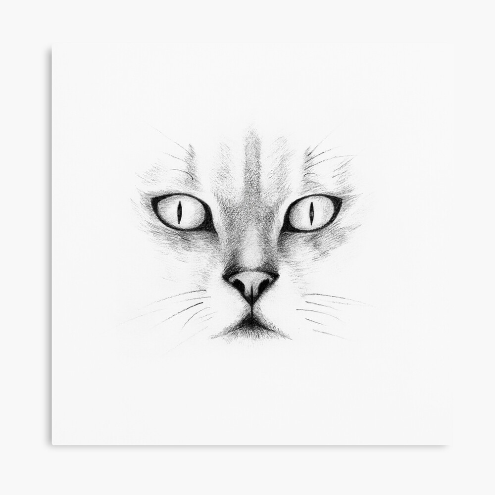 Lienzo «Dibujo de cara de gato blanco y negro» de ccelia7280 | Redbubble