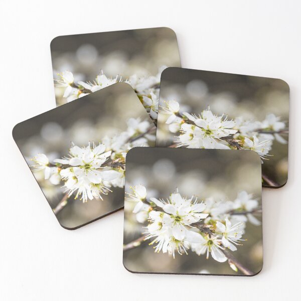 Item preview, Hawthorn  or May Thorn Blossom in Spring designed and sold by Cameranick.