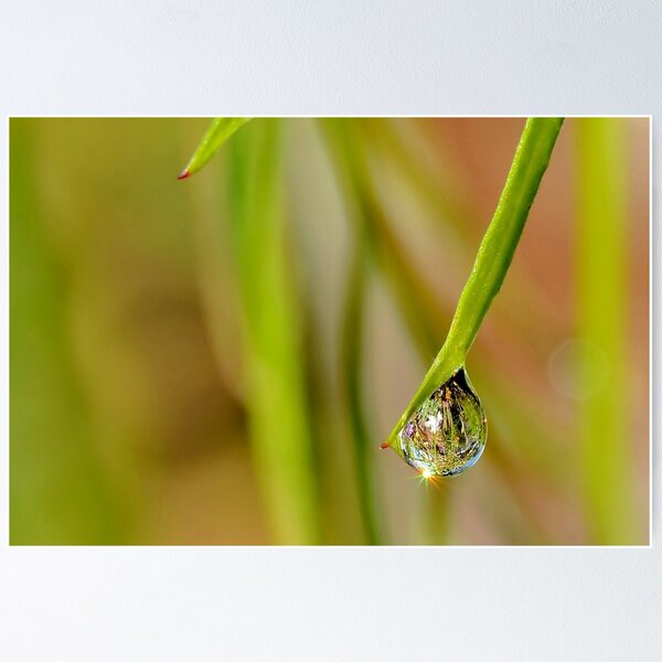 Item preview, Another Dew Drop designed and sold by relayer51.