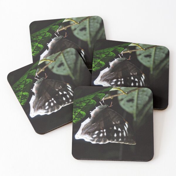 Item preview, "Night Safari" 2 of 6 designed and sold by Andreas Koerner.