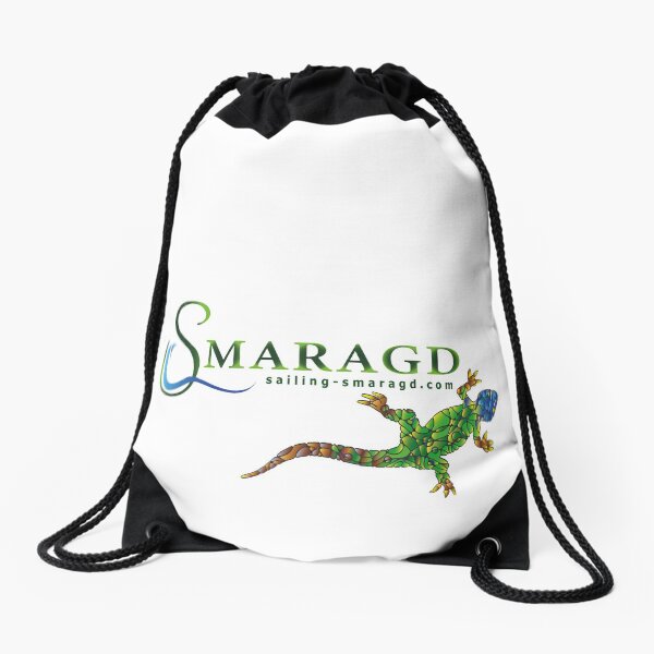 Green lizard Drawstring Bag