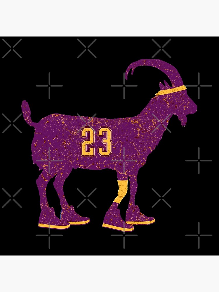 lebron goat vision