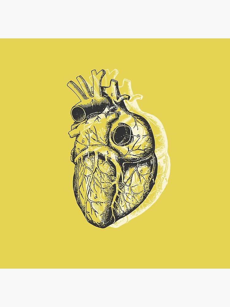 Anatomical Heart • Yellow • Pastel Goth by rike-mayer