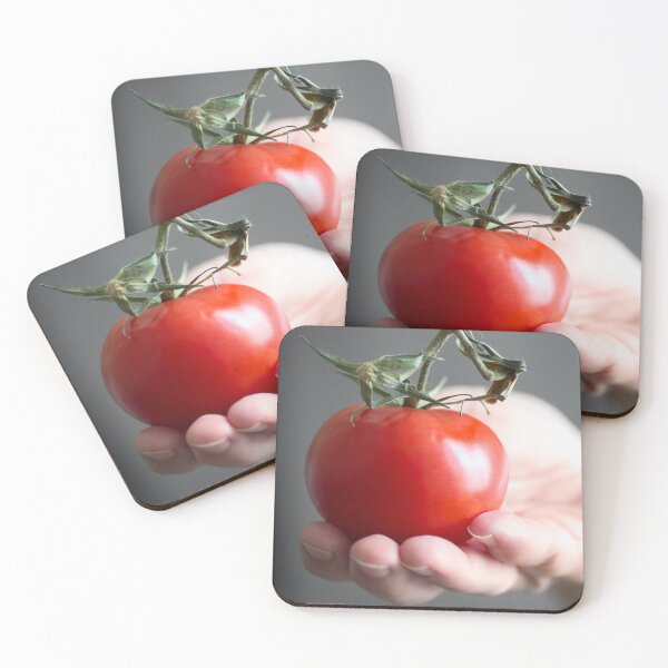 Item preview, Women hand holding one red fresh tomato with stem designed and sold by Grégory DUBUS.