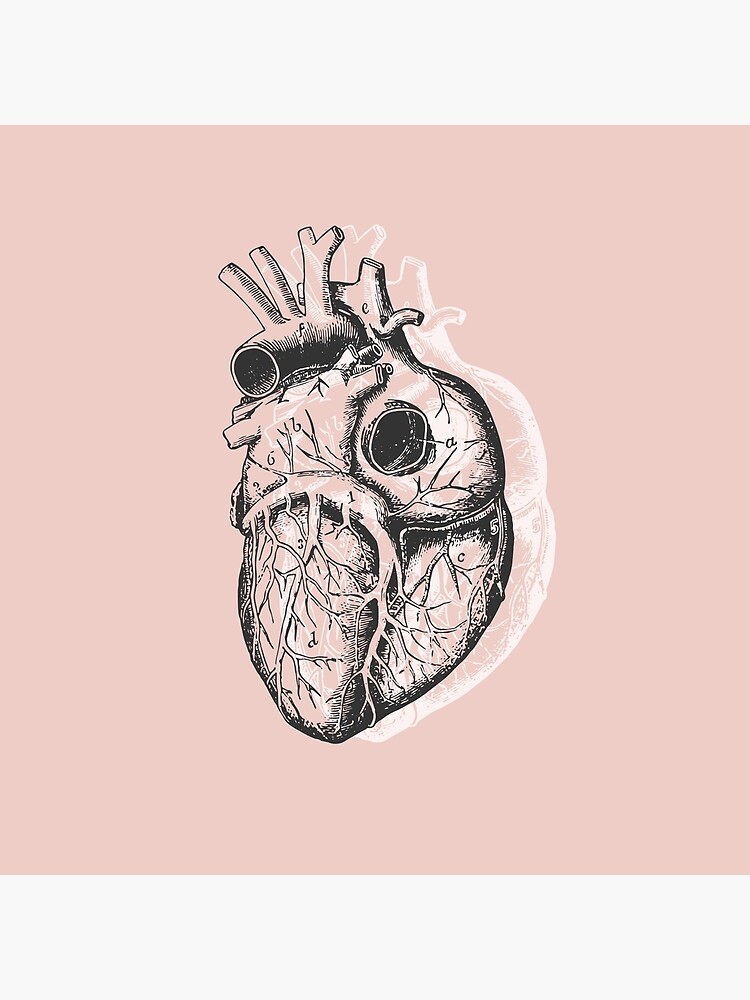 Anatomical Heart • Pastel Pink • Minimalist Goth by rike-mayer