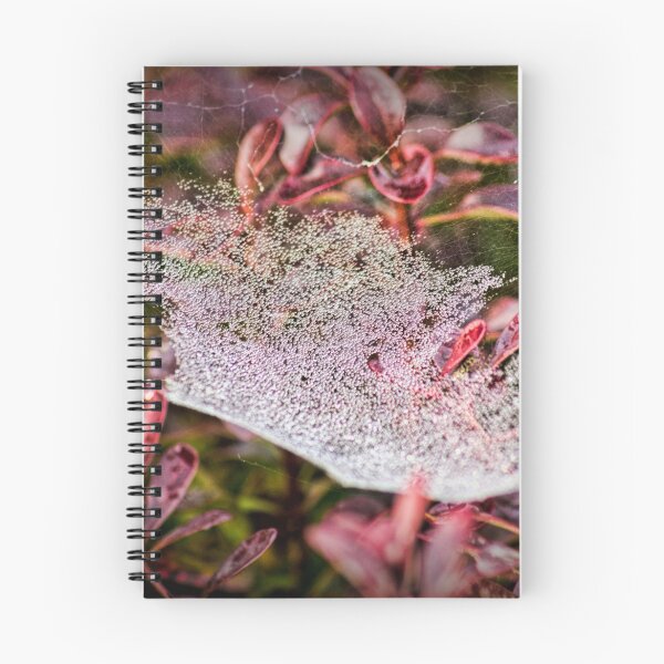 Item preview, Jewelled Web designed and sold by Colin Metcalf.