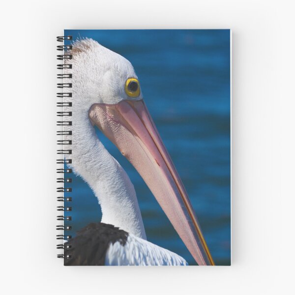 Item preview, A Close Up Of A Pelican From Behind designed and sold by Jason Gilbert.
