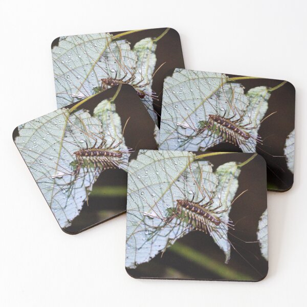 Item preview, "Night Safari" 6 of 6 designed and sold by Andreas Koerner.
