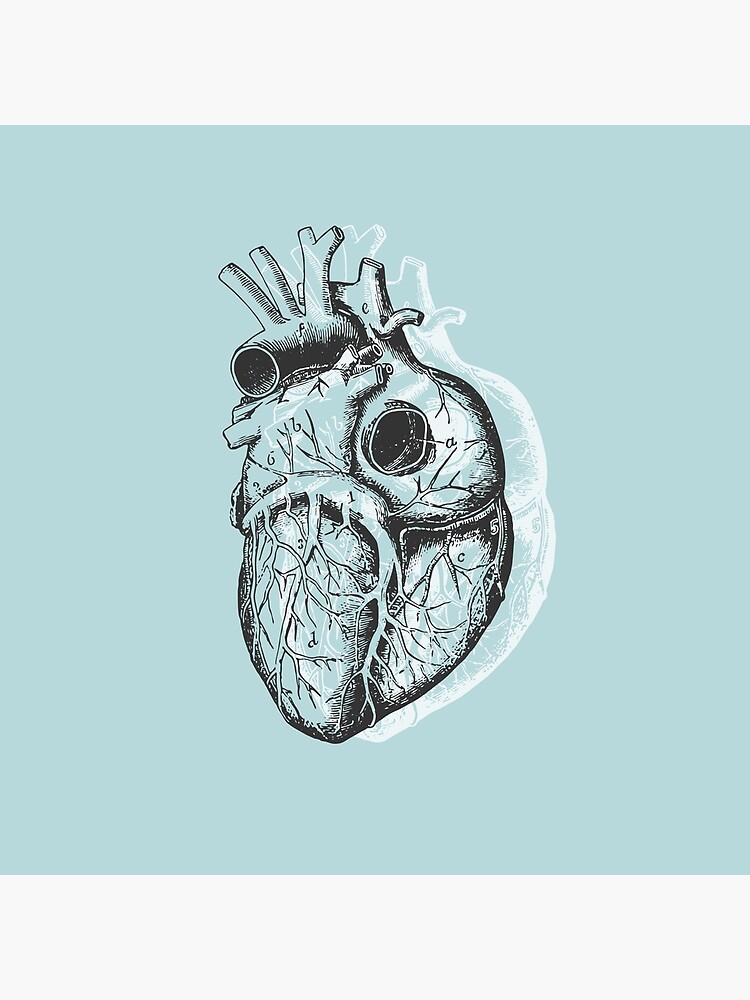 Anatomical Heart • Pastel Blue • Pastel Goth by rike-mayer