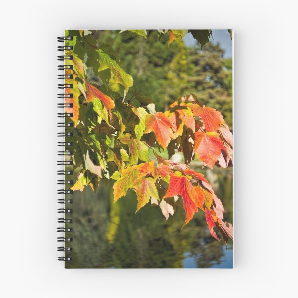Item preview, Autumn Colour designed and sold by Colin Metcalf.