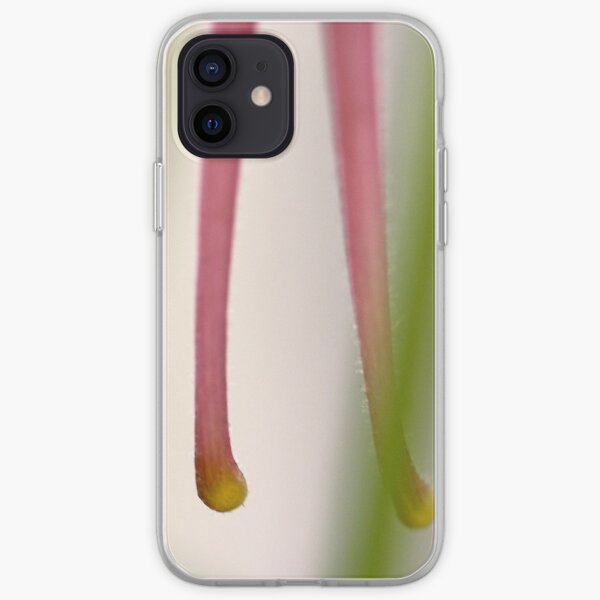 Columbine Spurs Case iPhone Soft Case