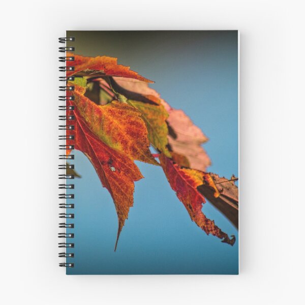 Item preview, Autumn Glory designed and sold by Colin Metcalf.