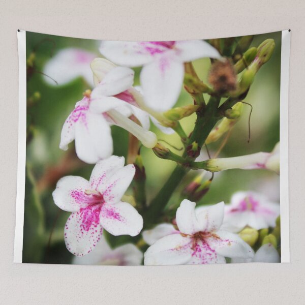 Item preview, Flower designed and sold by Sérgio Rodrigues Garcez Filho.
