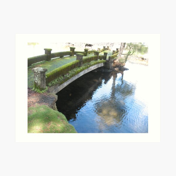 The Liliuokalani Crossing Art Print