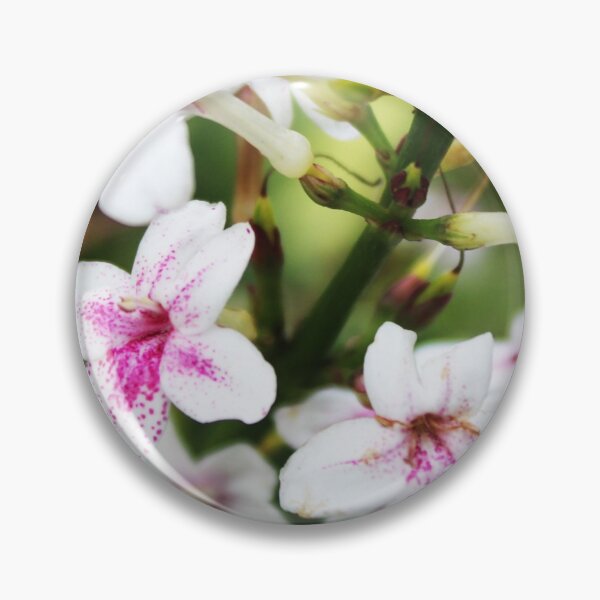 Item preview, Flower designed and sold by Sérgio Rodrigues Garcez Filho.