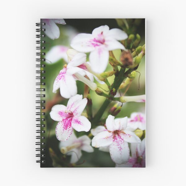 Item preview, Flower designed and sold by Sérgio Rodrigues Garcez Filho.
