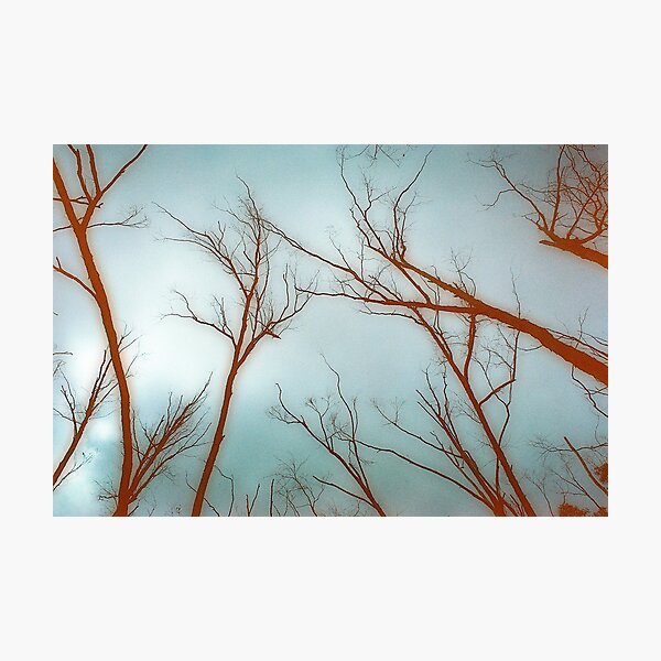 Item preview, "Above" designed and sold by Michelle Lee Willsmore.