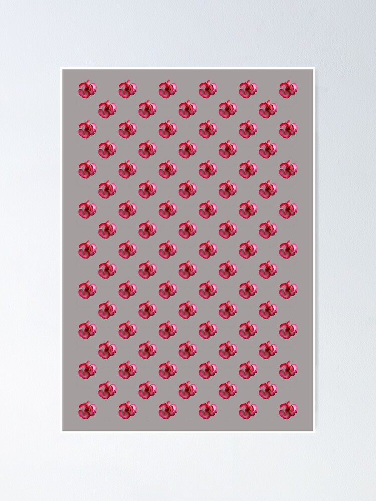 Thumbnail 1 of 3, Poster, Red Rose designed and sold by STHogan.