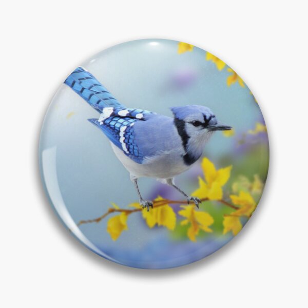 Item preview, Blue Jay on Forsythia designed and sold by MoragBates.
