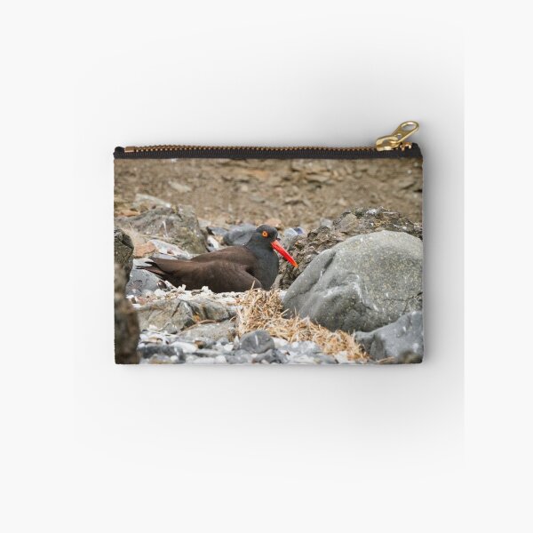 Item preview, Nest of Rocks -- Black Oystercatcher designed and sold by Tom Talbott.