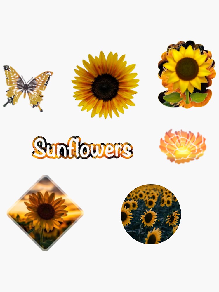 "Sunflower stickers pack" Sticker for Sale by NattanS Redbubble