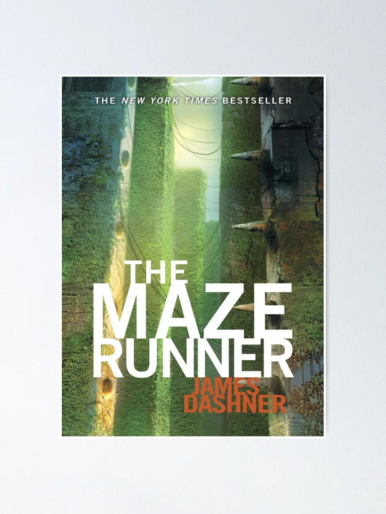 Poster Maze Runner 2 - Group 2, Wall Art, Gifts & Merchandise