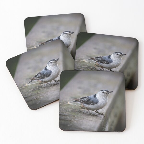 Item preview, Nuthatch Close-up designed and sold by Robert Alsop.