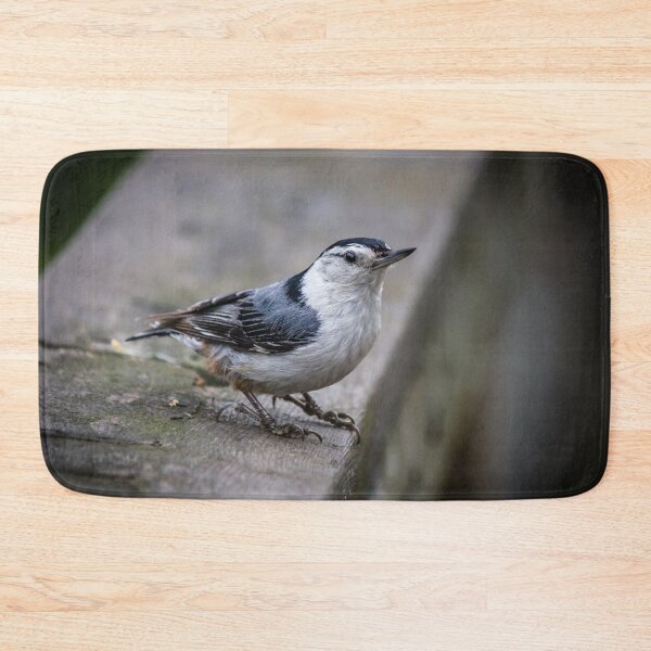 Item preview, Nuthatch Close-up designed and sold by Robert Alsop.