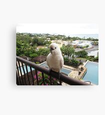 Have a good day from cockatoo... Canvas Print
