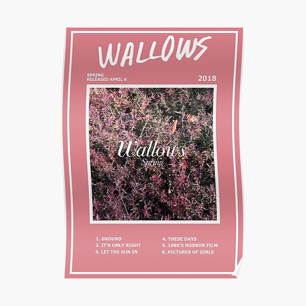 Affiche Wallows Spring EP Poster