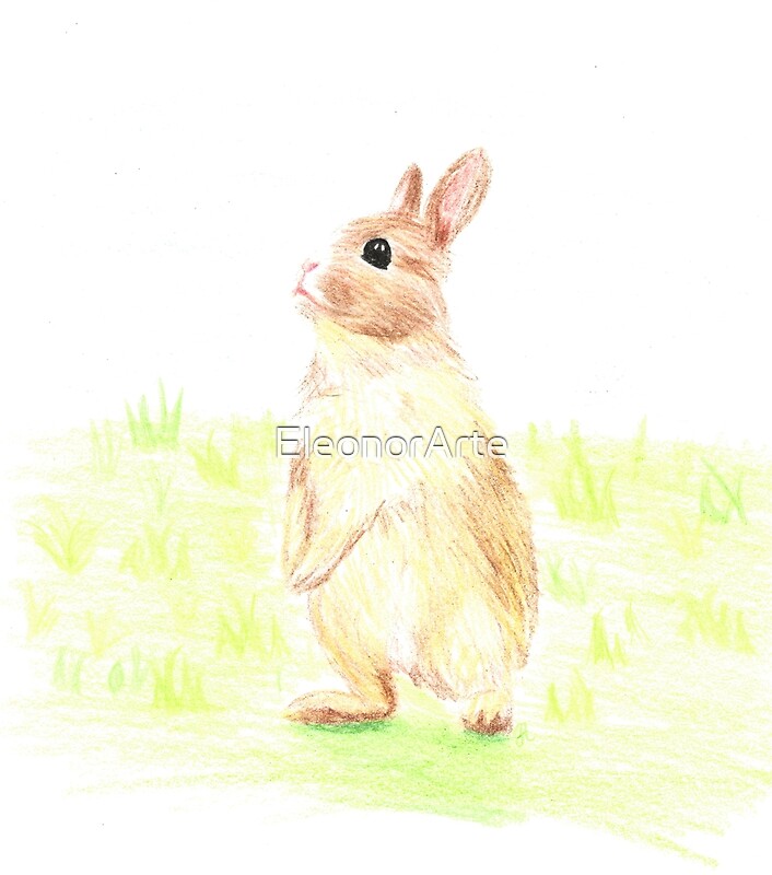 "Curious rabbit" by EleonorArte | Redbubble