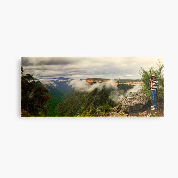 Kananagra Walls Metal Print