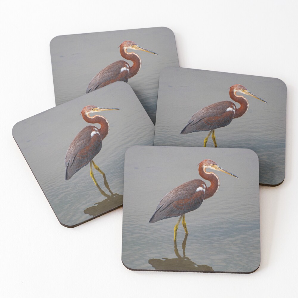 Item preview, Coasters (Set of 4) designed and sold by Ruth Curtis.