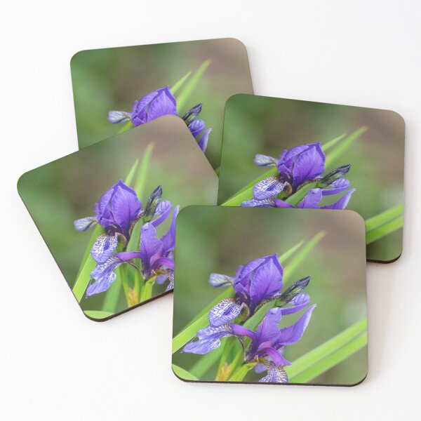 Item preview, Iris photography designed and sold by Zentura.