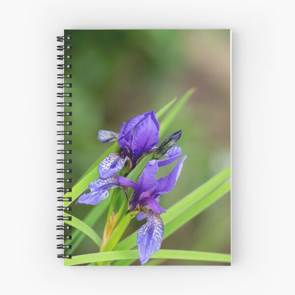 Item preview, Iris photography designed and sold by Zentura.
