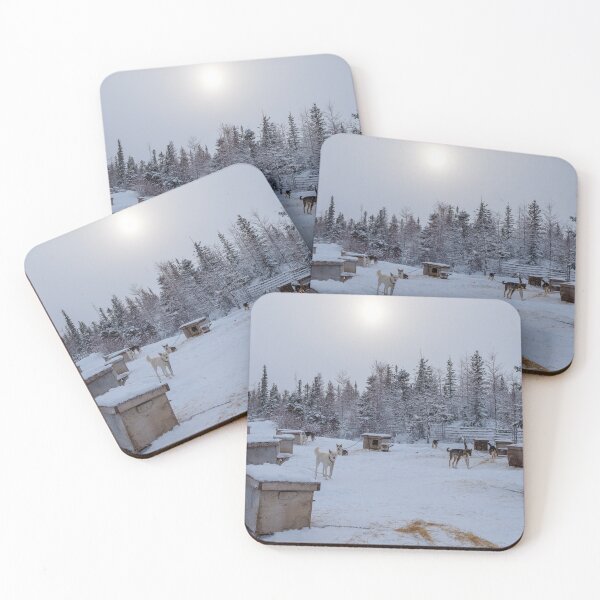 Item preview, Open air kennel with sled dogs near Churchill, Manitoba, Canada designed and sold by VadimK.