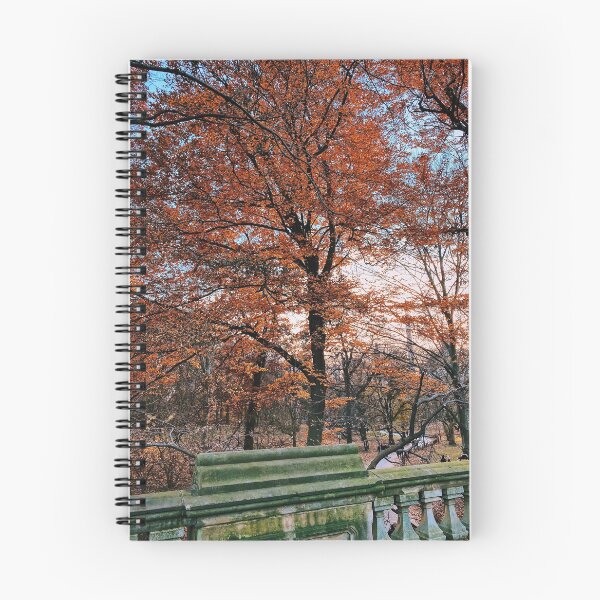 Item preview, Autumn Leaves in Central Park designed and sold by msangiemoon.