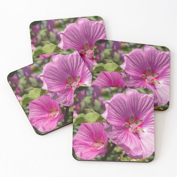Item preview, Pink mallow picture designed and sold by Zentura.