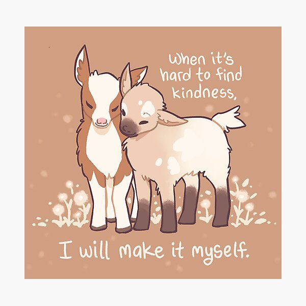"When it's hard to find kindness, I will make it myself" Baby Goats Photographic Print